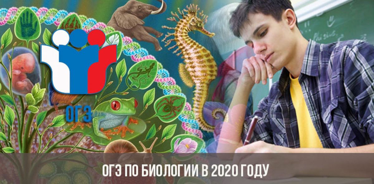ogeh-po-biologii-v-2020-godu-top